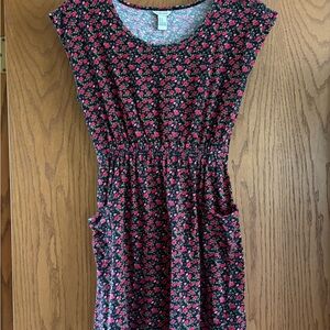 Forever21 Floral Dress - Pink and Black